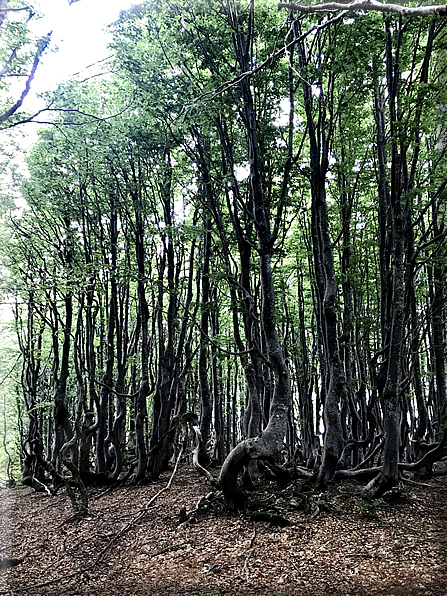 foto Parco dei Cento Laghi